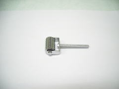 ���[���[�I�̎ʐ^